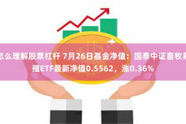 怎么理解股票杠杆 7月26日基金净值：国泰中证畜牧养殖ETF最新净值0.5562，涨0.36%