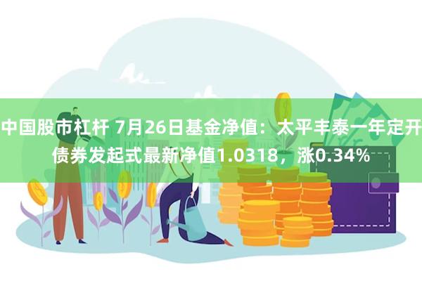 中国股市杠杆 7月26日基金净值：太平丰泰一年定开债券发起式最新净值1.0318，涨0.34%