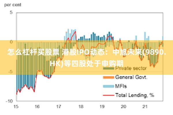 怎么杠杆买股票 港股IPO动态：中旭未来(9890.HK)等四股处于申购期