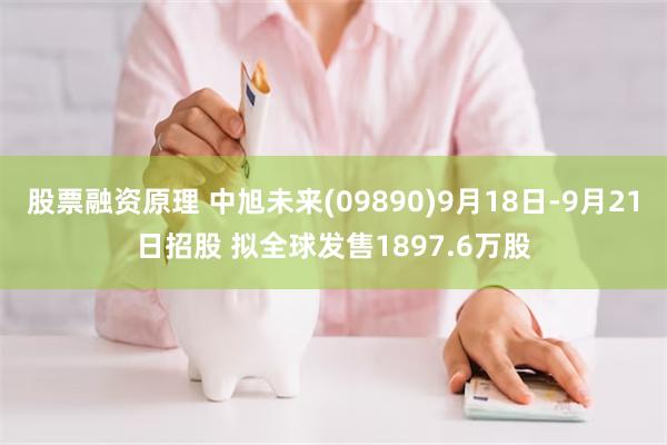 股票融资原理 中旭未来(09890)9月18日-9月21日招股 拟全球发售1897.6万股