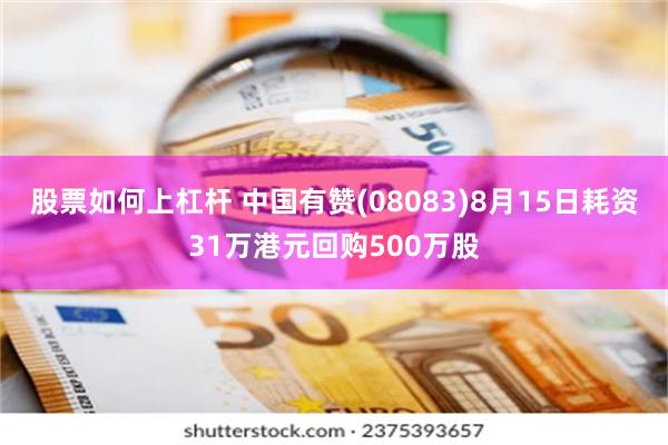 股票如何上杠杆 中国有赞(08083)8月15日耗资31万港元回购500万股