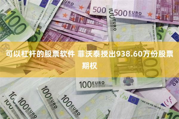 可以杠杆的股票软件 菲沃泰授出938.60万份股票期权