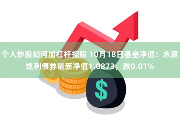 个人炒股如何加杠杆控股 10月18日基金净值：永赢凯利债券最新净值1.0873，跌0.01%