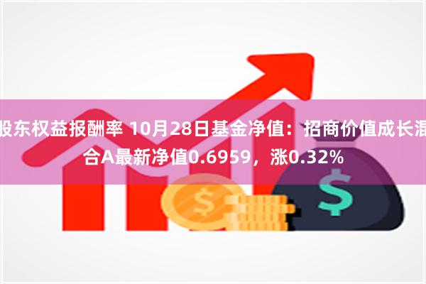 股东权益报酬率 10月28日基金净值：招商价值成长混合A最新净值0.6959，涨0.32%