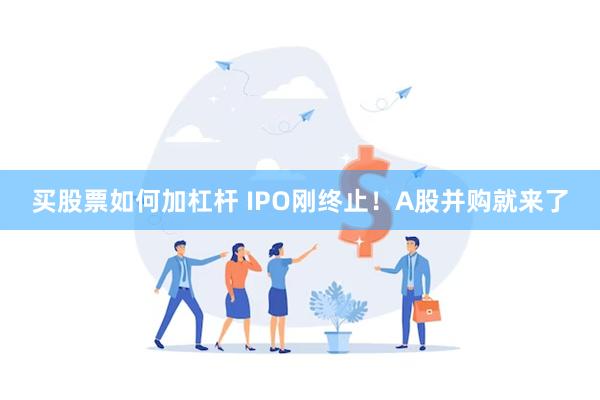 买股票如何加杠杆 IPO刚终止！A股并购就来了