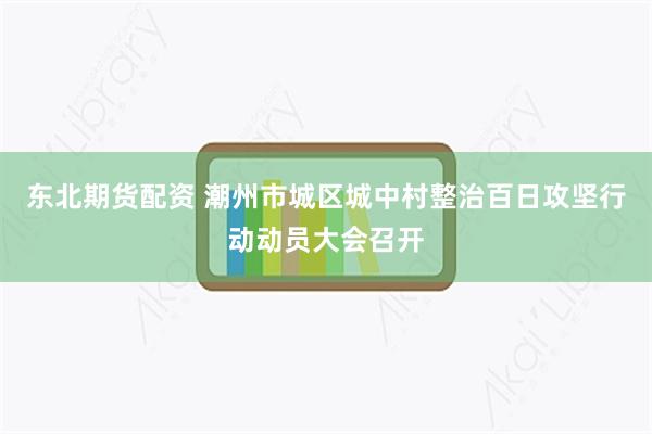 东北期货配资 潮州市城区城中村整治百日攻坚行动动员大会召开