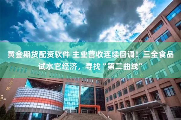 黄金期货配资软件 主业营收连续回调！三全食品试水它经济，寻找“第二曲线”